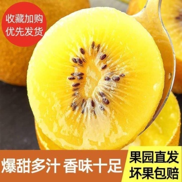 【一件代发】河南西峡黄心猕猴桃/产地源头代发包邮包赔