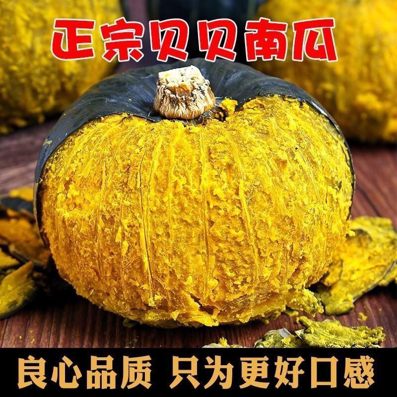 松田贝贝南瓜种子早熟扁圆形香甜软糯贝贝南瓜甘春秋露地专用