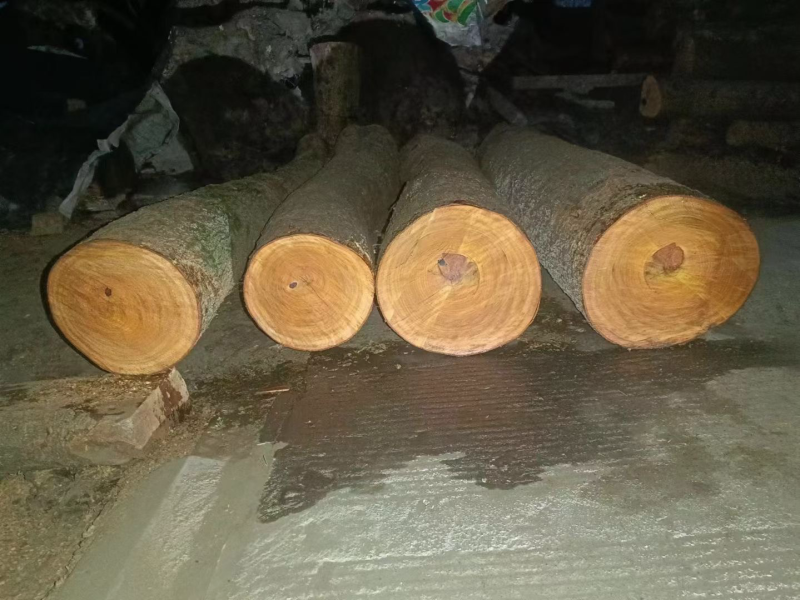 虎皮纹原木园木圆木金丝楠小叶桢楠