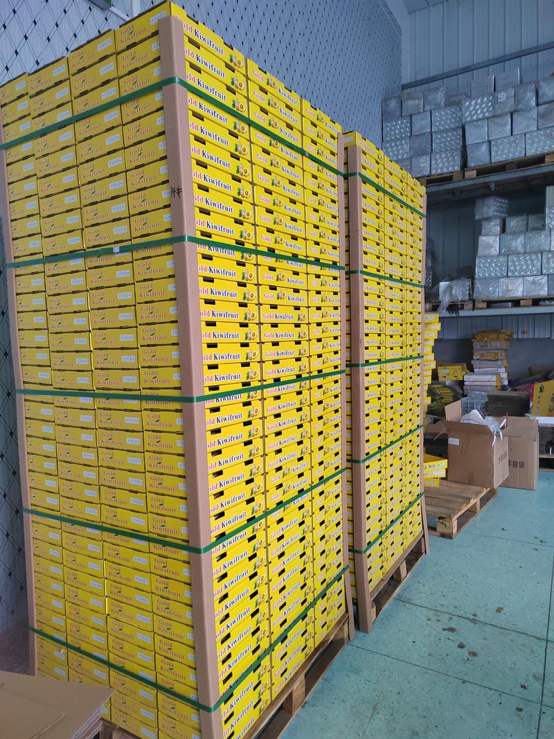 【板盒礼盒】黄心猕猴桃板盒装一手货源对接市场支持定制