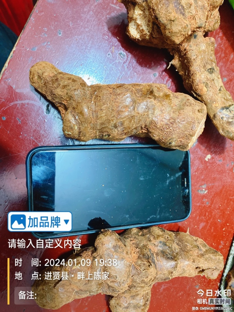 江西新鲜土茯苓中药材统货产地直供欢迎来电咨询