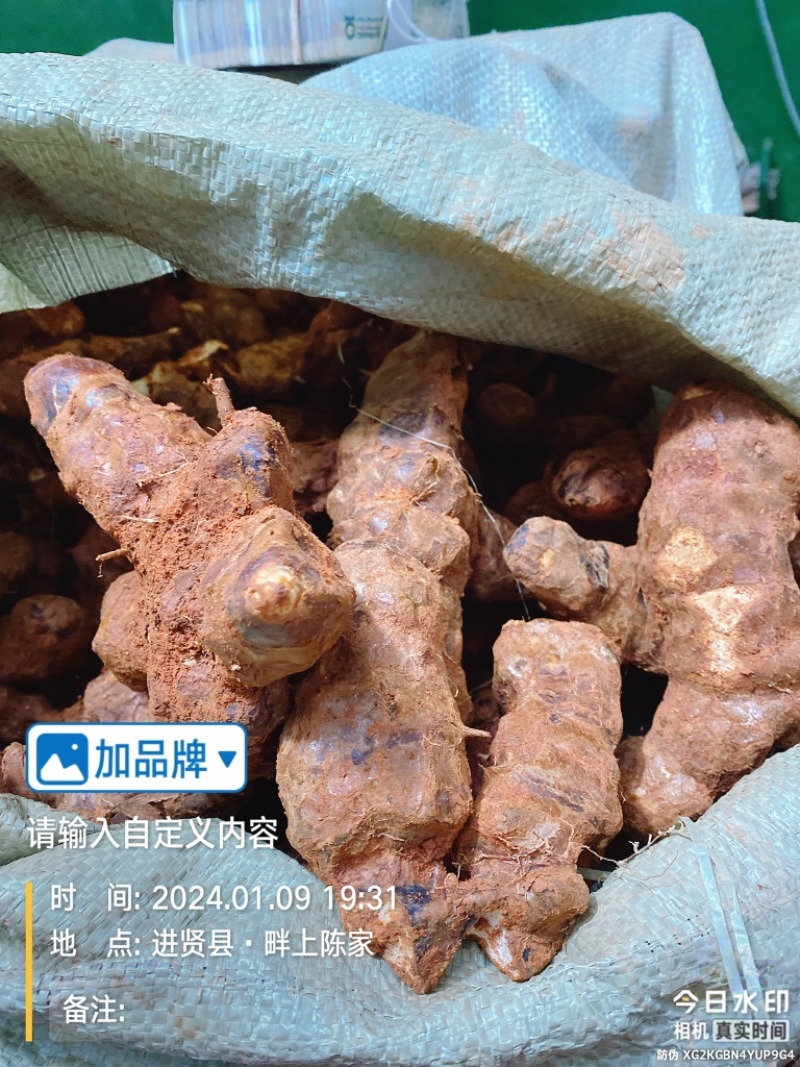 江西新鲜土茯苓中药材统货产地直供欢迎来电咨询