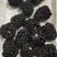 【黑莓】反季鲜果一手货源可对接全国采购商量大从优电
