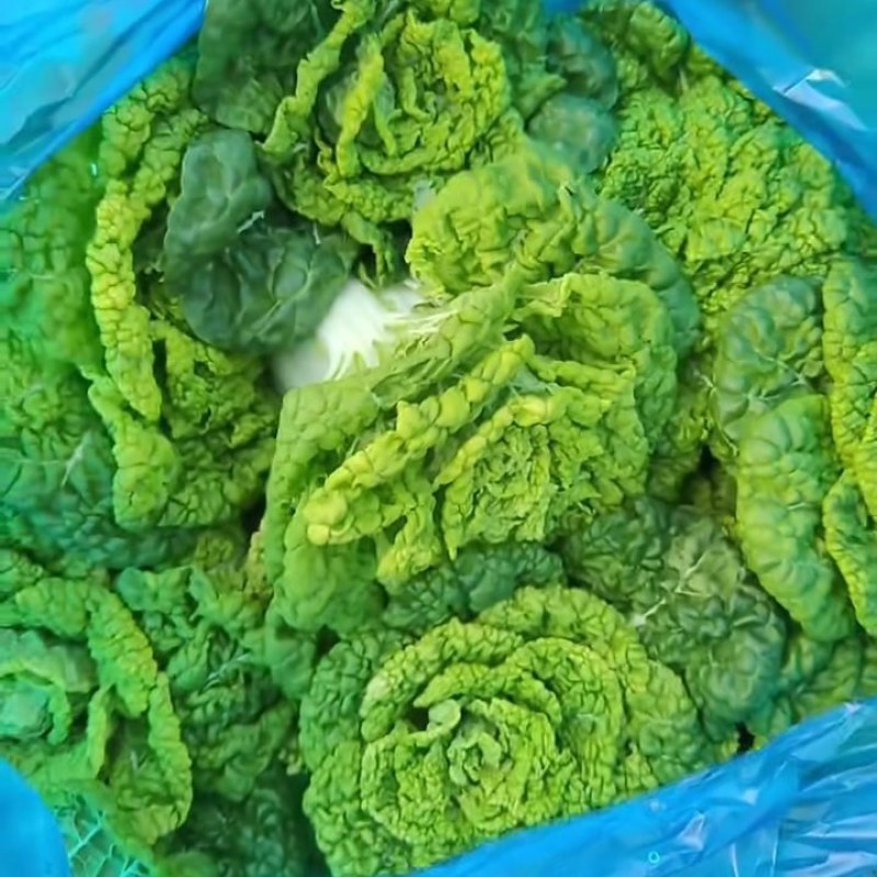 精品黄心菜产地直发品质保证量大从优一手货源欢迎联系