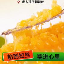 真空包装东北甜糯黄、白、黑玉米俏江东品牌东北糯玉米