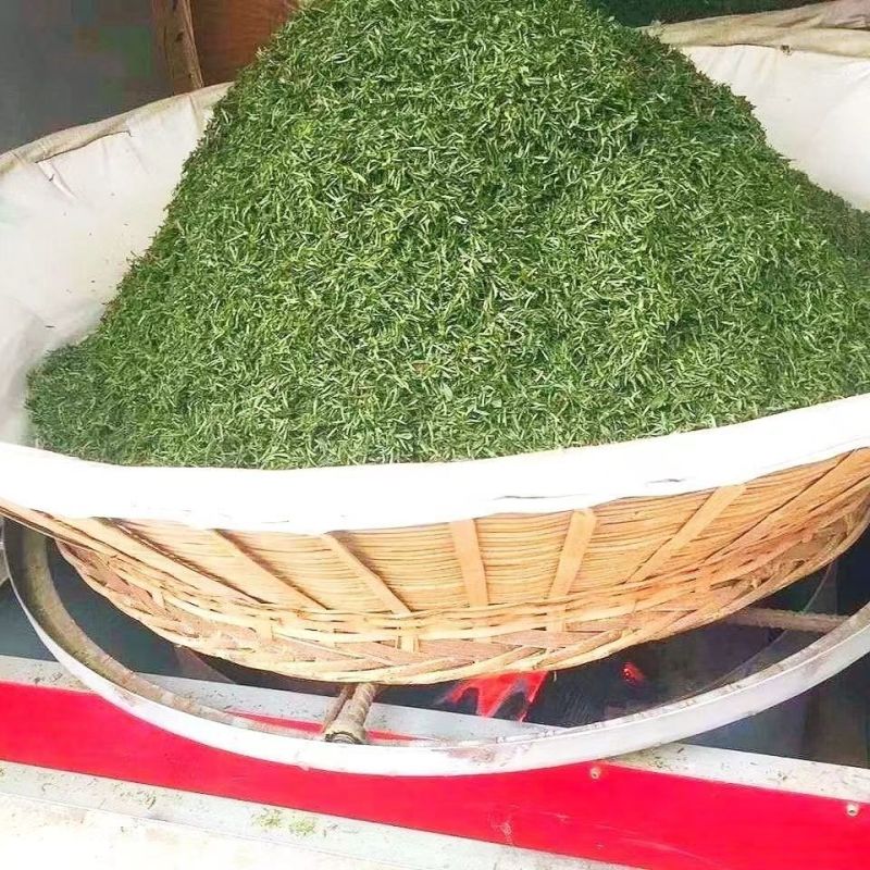 绿茶六安瓜片春茶2023新茶大量有货欢迎来电咨询