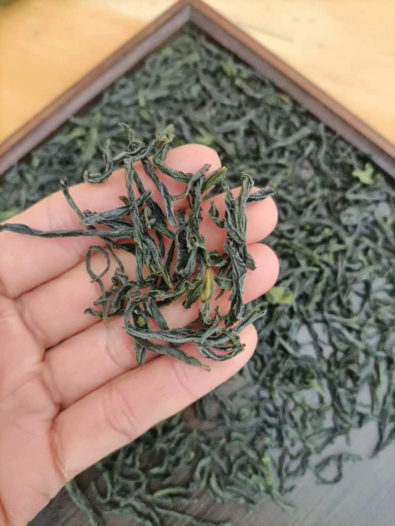 绿茶六安瓜片春茶2023新茶大量有货欢迎来电咨询