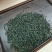 绿茶六安瓜片春茶2023新茶大量有货欢迎来电咨询