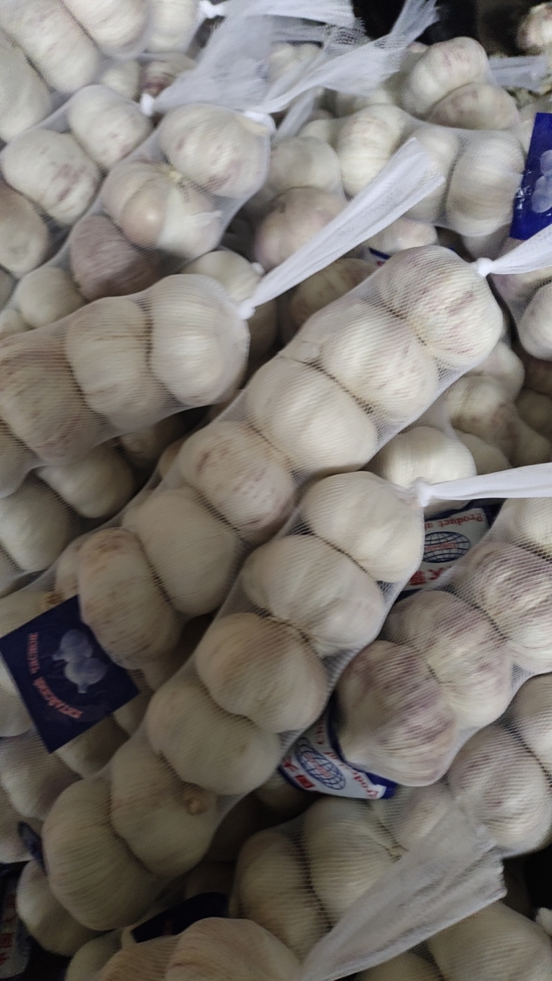 【精选】红蒜（5cm）干蒜常年供应视频看货诚信为本