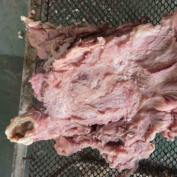 【熟牛脸】去油去皮去淋巴精修牛脸肉纯熟无油质量保证