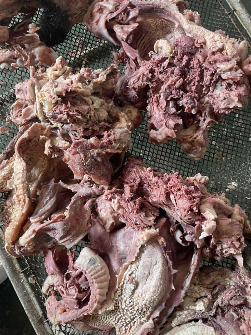 【熟牛脸】去油去皮去淋巴精修牛脸肉纯熟无油质量保证