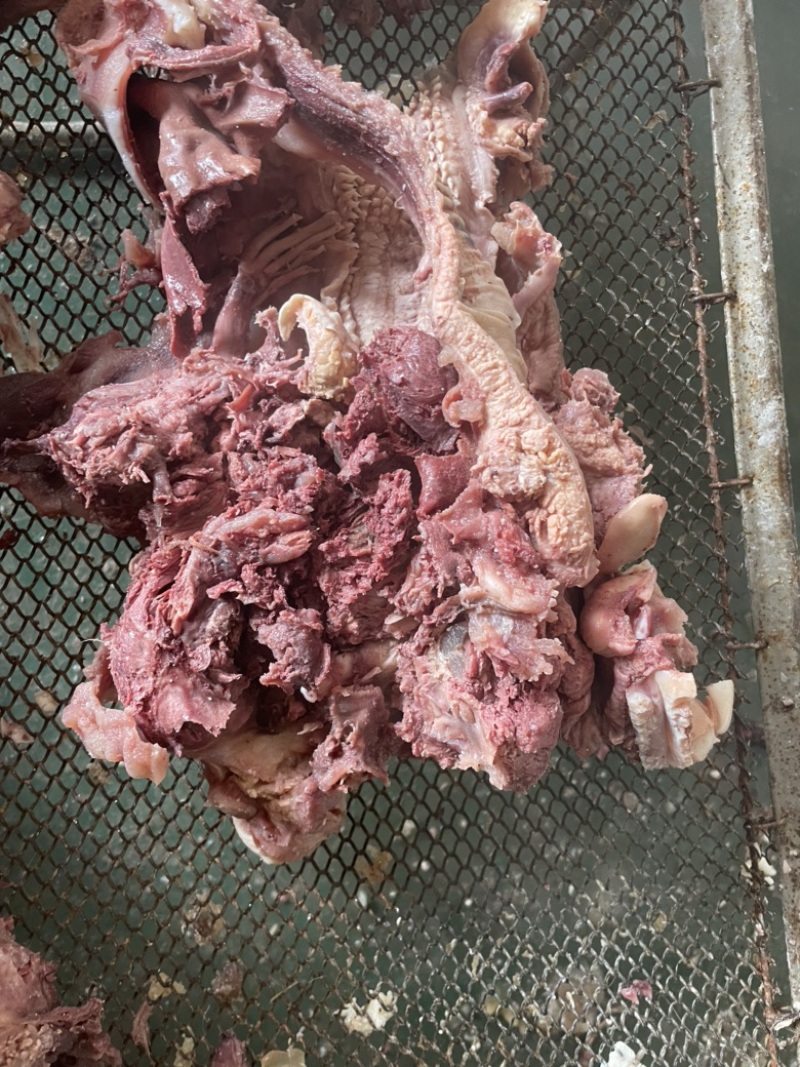 【熟牛脸】去油去皮去淋巴精修牛脸肉纯熟无油质量保证