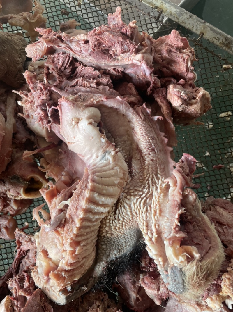 【熟牛脸】去油去皮去淋巴精修牛脸肉纯熟无油质量保证