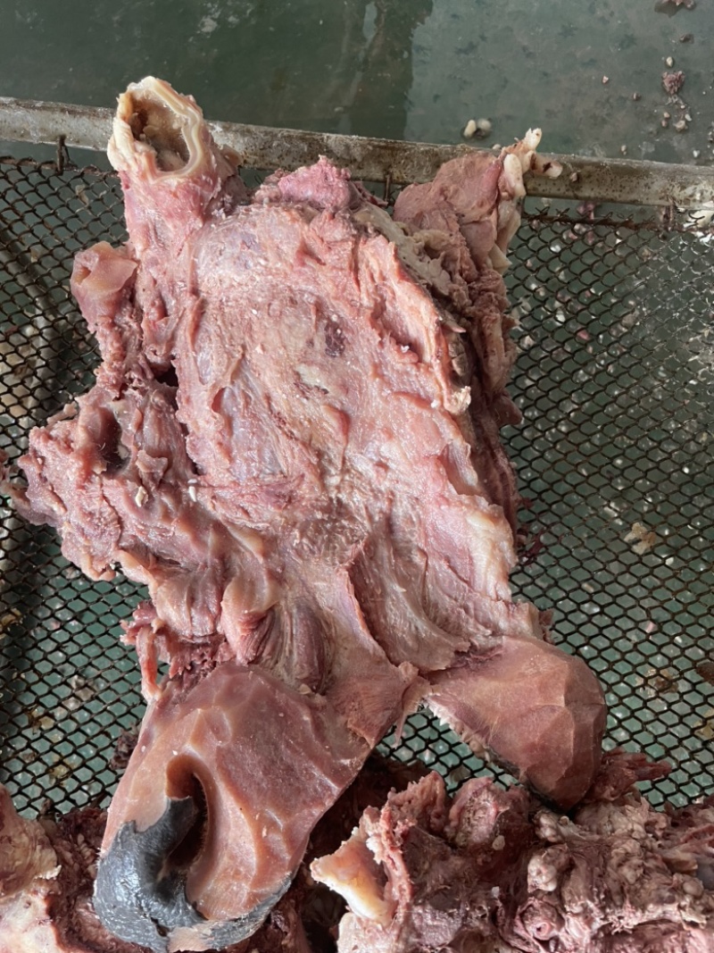 【熟牛脸】去油去皮去淋巴精修牛脸肉纯熟无油质量保证