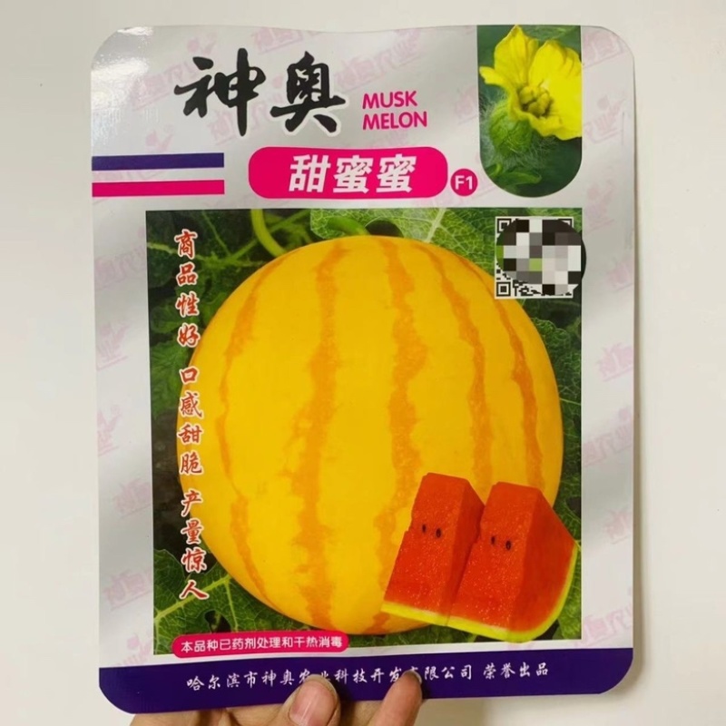 神奥金凤凰黄皮黄瓤早熟，杂交一代品种种子