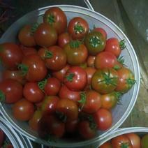 淄博高青草莓柿子