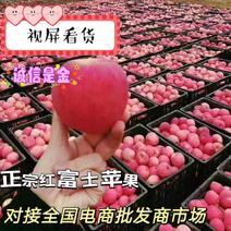 红富士苹果山东苹果口感脆甜多汁承接个大市场电商平台