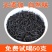正山小种红茶武夷山春茶高山茶叶正山小种红茶
