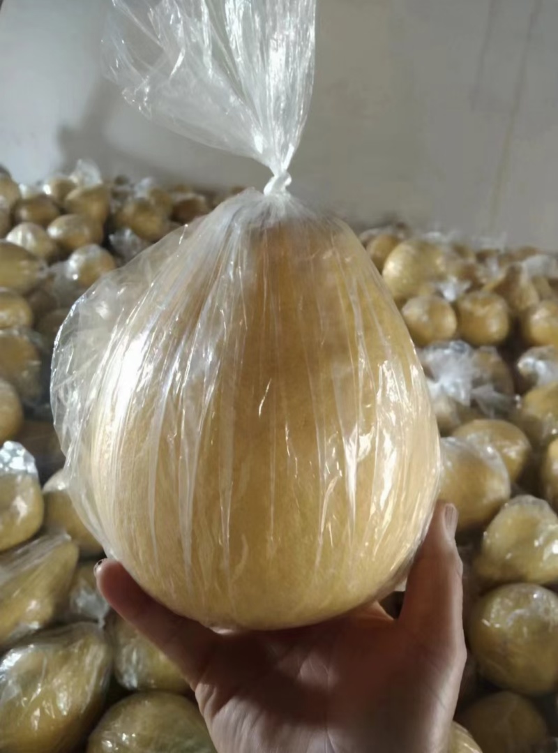 江永香柚