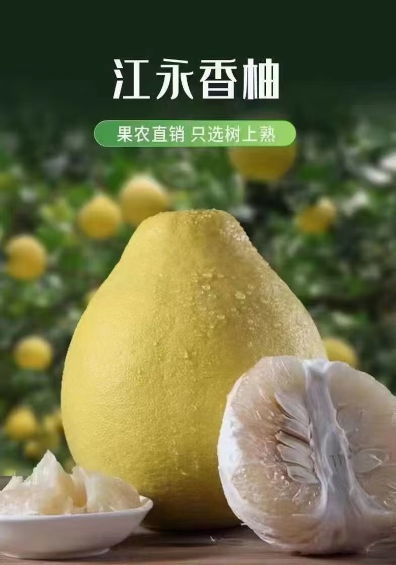 江永香柚