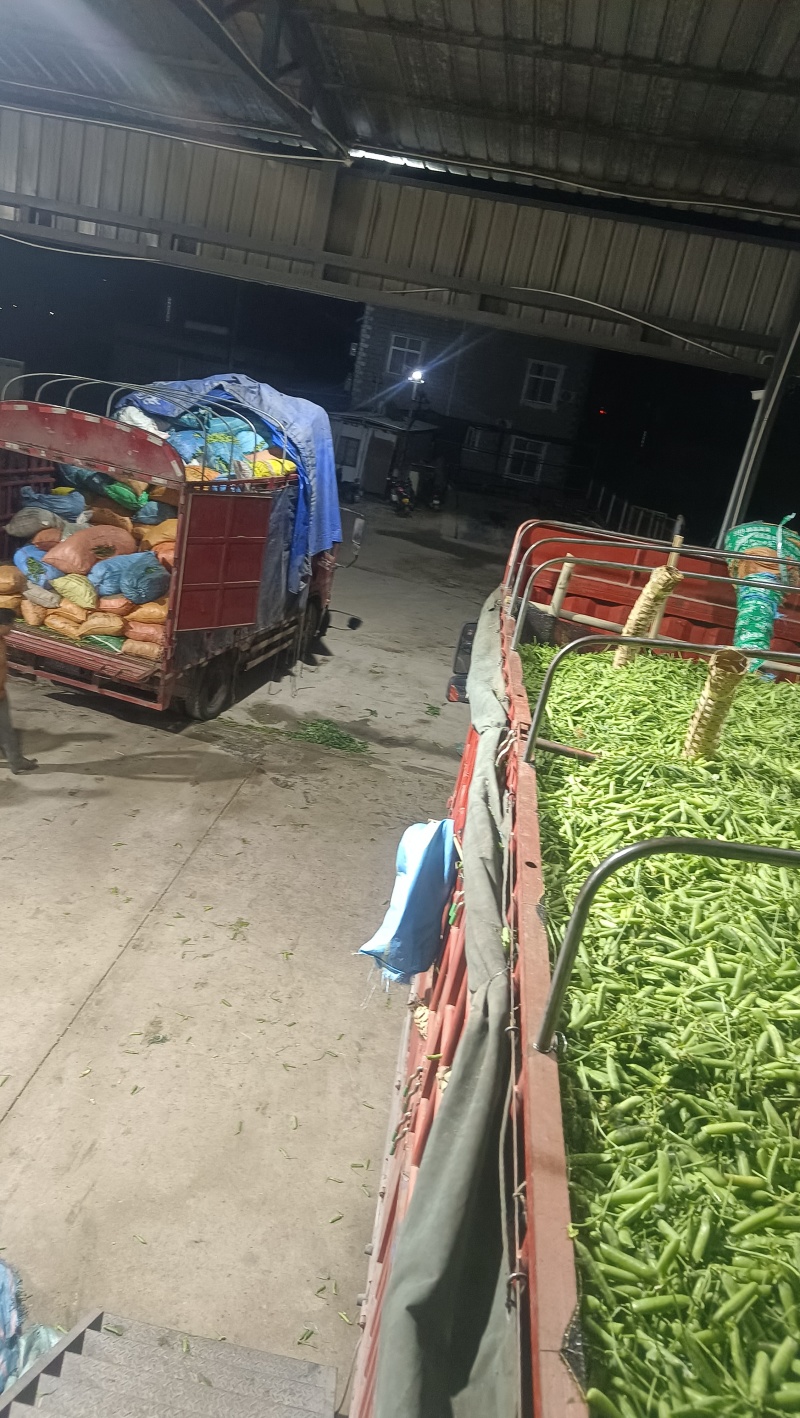 长寿仁豌豆。优质农产品。价格美丽。高山农产品。