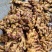 生姜优质二黄