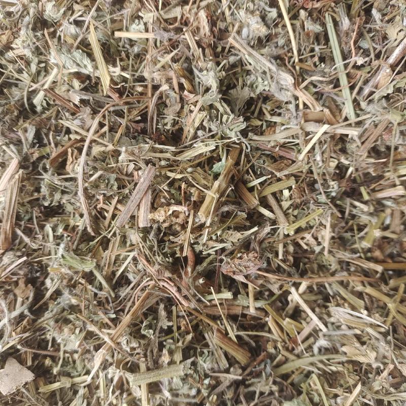 老鹳草老关草今年新货药味大产地河南省地道药材