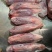 国产黄牛牛腱子肉，只做真牛肉品质保证，热鲜