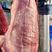 国产黄牛牛腱子肉，只做真牛肉品质保证，热鲜和冷冻锁鲜都有