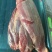国产黄牛牛腱子肉，只做真牛肉品质保证，热鲜