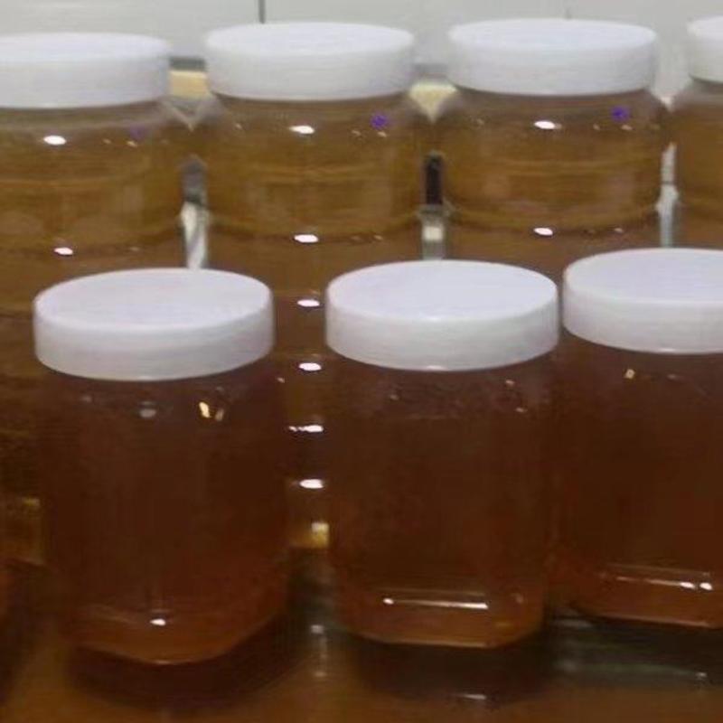 土蜂蜜大量供应保质保量新鲜对接自家养殖湖南岳阳产地发