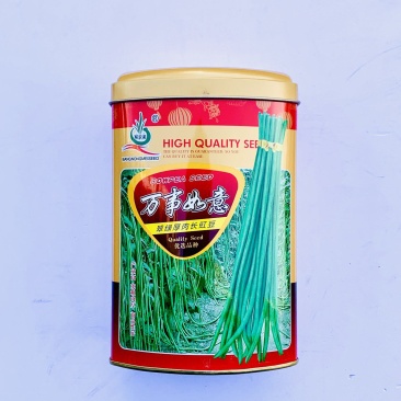 豇豆种子翠绿色长条品种，荚