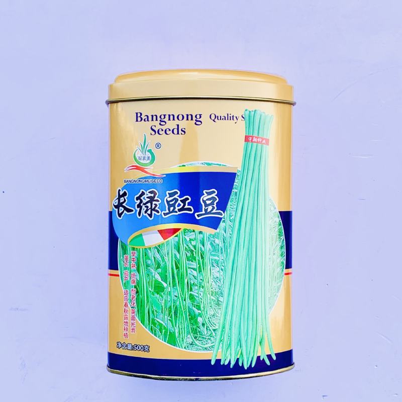 豇豆种子翠绿色长条品种，荚