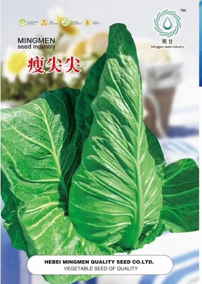 云南牛心甘蓝，基地种植，一手货源，品质保证