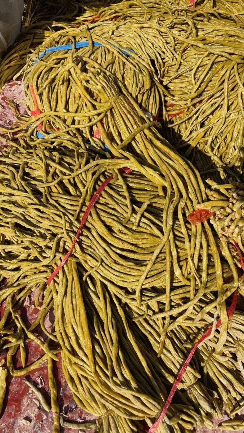 优质酸豆角货源充足量大从优欢迎老板选购可视频