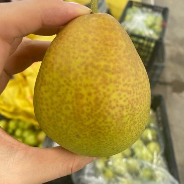 红香酥电商货一件代发，可对接美团，多多。淘宝，抖音。