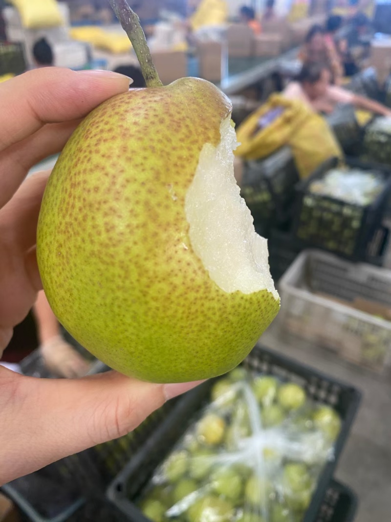 红香酥电商货一件代发，可对接美团，多多。淘宝，抖音。