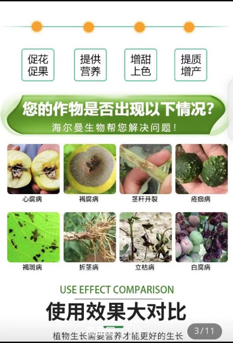 颗粒硼微量元素水溶肥提高坐果保花保果果树蔬菜底肥通用