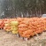 出售河北邯郸地区玉米20万斤