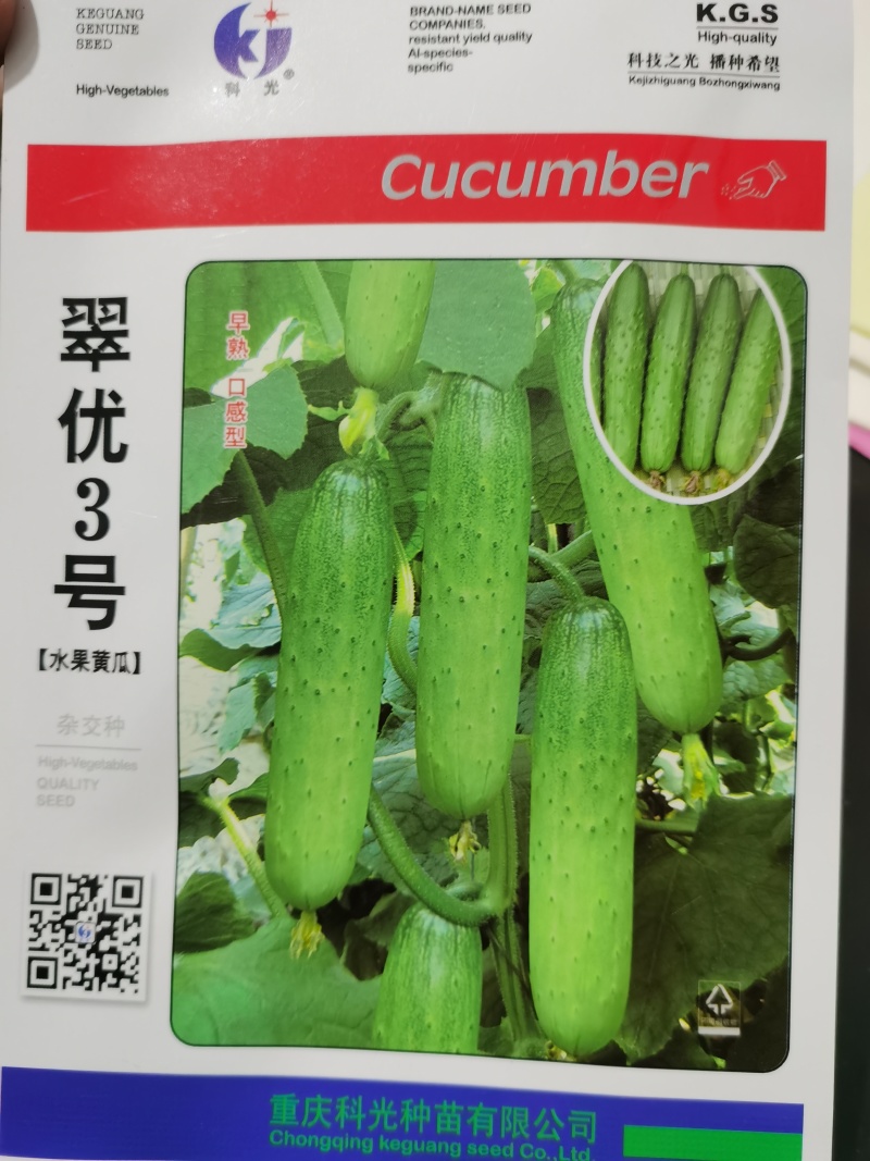翠优1号3号君优1号珍白系列水果黄瓜种子