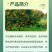 一帆定爽40%腈菌唑桃树褐腐病梨树黑星病农药杀菌剂