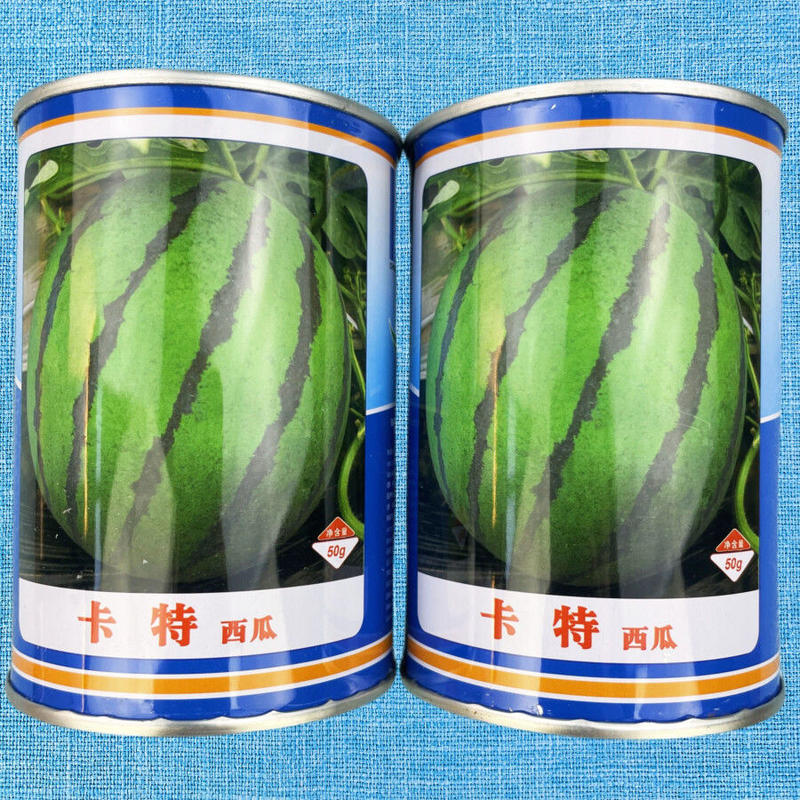 卡特西瓜种子大圆西瓜种籽特大正圆精品春季四季中型瓜麒麟瓜