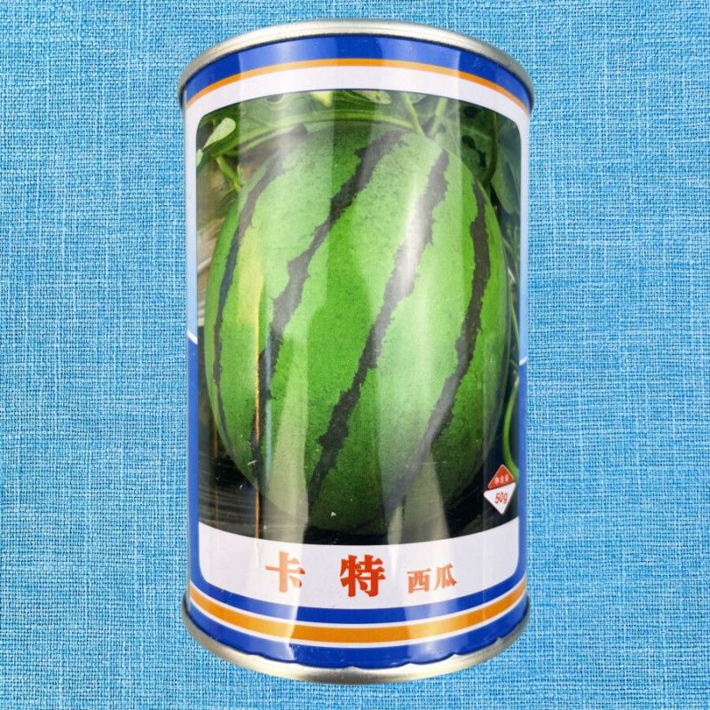 卡特西瓜种子大圆西瓜种籽特大正圆精品春季四季中型瓜麒麟瓜