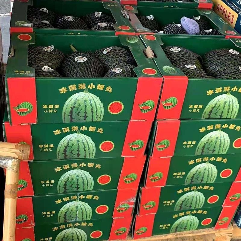 2k西瓜小糖丸牛奶爆炸瓜一手货源质量保证价格优惠