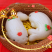 金玉福花饽饽年味的多种多样花饽饽