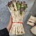 鱼腥草（折耳根）嫩芽，鱼腥草根（折耳根）