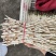 鱼腥草（折耳根）嫩芽，鱼腥草根（折耳根）