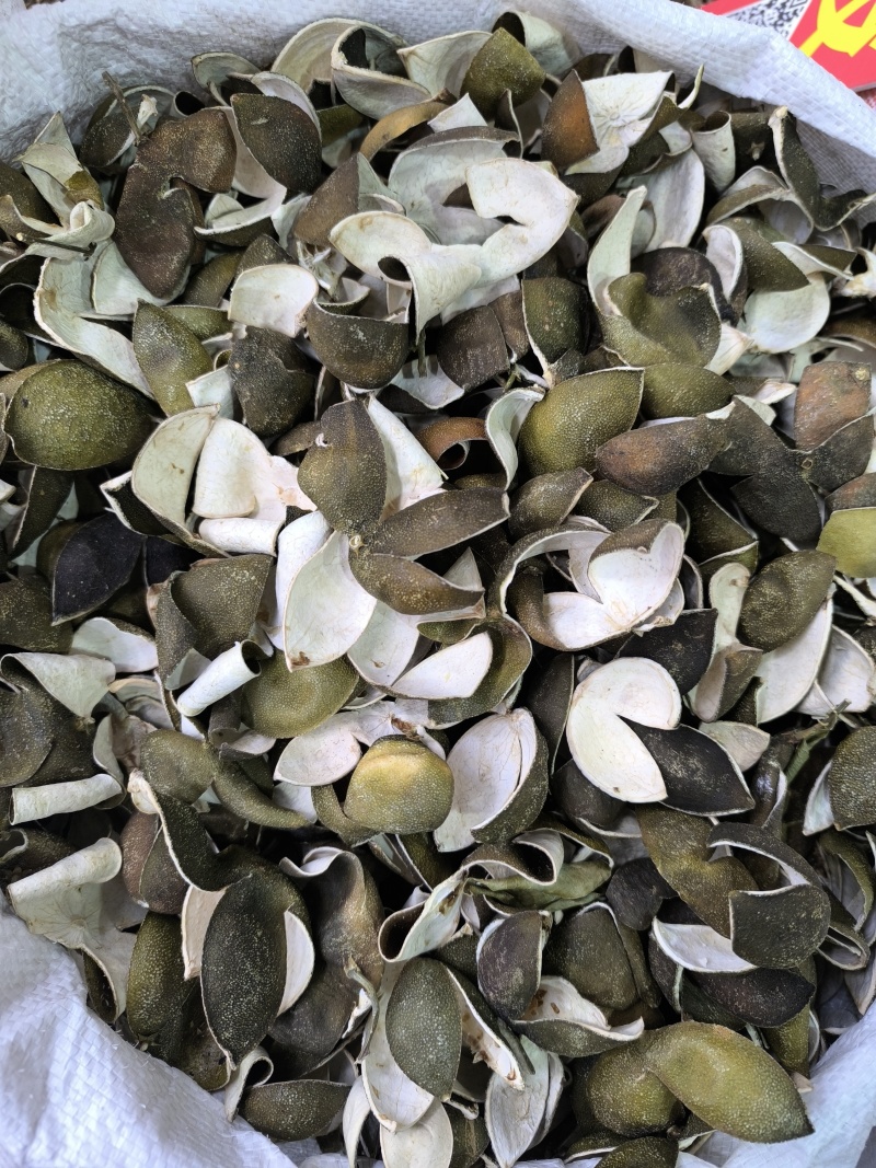 四花青皮新货中药青橘皮青皮无硫磺现货批发