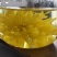 菊花茶（金丝皇菊）