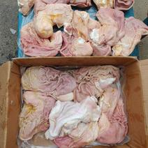 国产猪肚10几块钱一斤